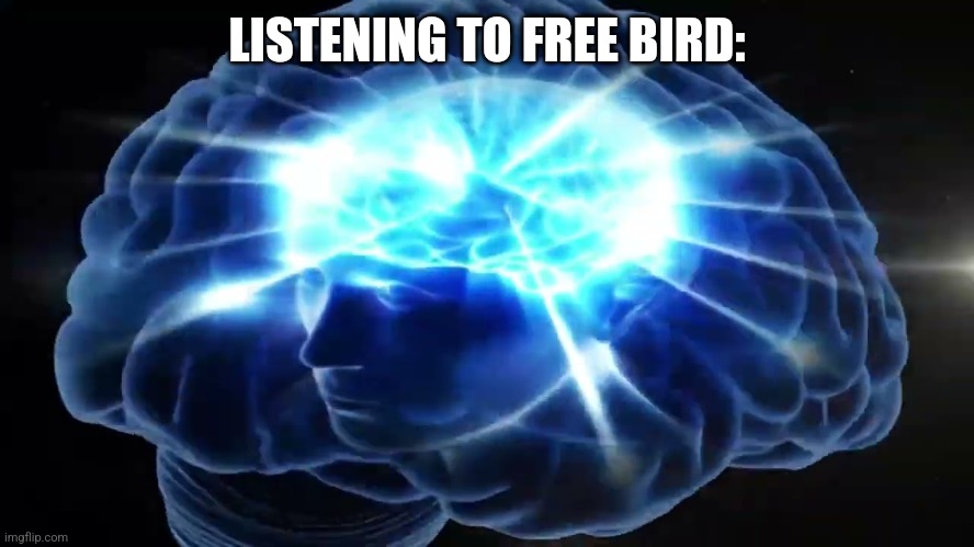 But you didn't have to cut me off | LISTENING TO FREE BIRD: | image tagged in but you didn't have to cut me off | made w/ Imgflip meme maker