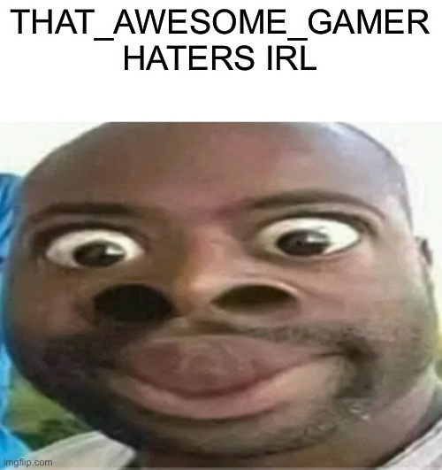 The haters are exaggerating, but i think he should post in memes_overload not msmg | THAT_AWESOME_GAMER HATERS IRL | image tagged in insert skibiditard toilet fans in real life | made w/ Imgflip meme maker