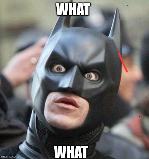 Shocked Batman | WHAT; WHAT | image tagged in shocked batman | made w/ Imgflip meme maker