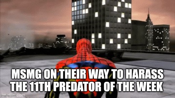 Sad spiderman walking | MSMG ON THEIR WAY TO HARASS THE 11TH PREDATOR OF THE WEEK | image tagged in sad spiderman walking | made w/ Imgflip meme maker