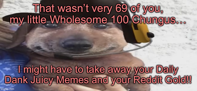 I hate this post and the subhuman trash who posted it. | That wasn’t very 69 of you, my little Wholesome 100 Chungus…; I might have to take away your Daily Dank Juicy Memes and your Reddit Gold!! | image tagged in chucklenuts | made w/ Imgflip meme maker