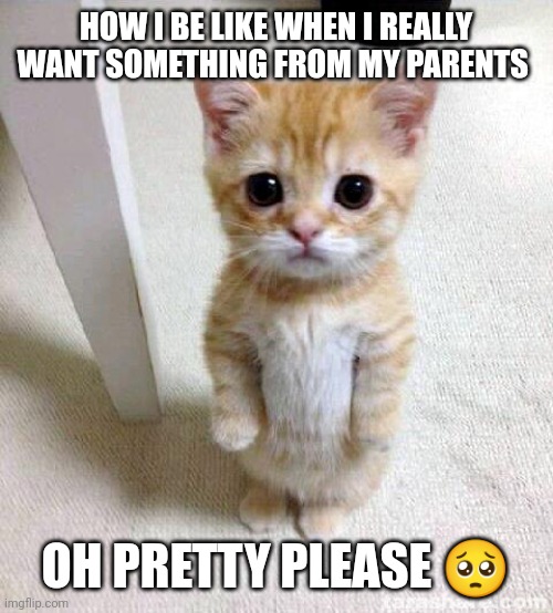 Trust me it always works | HOW I BE LIKE WHEN I REALLY WANT SOMETHING FROM MY PARENTS; OH PRETTY PLEASE 🥺 | image tagged in memes,cute cat,cute,cat,how you beg,begging your parents | made w/ Imgflip meme maker