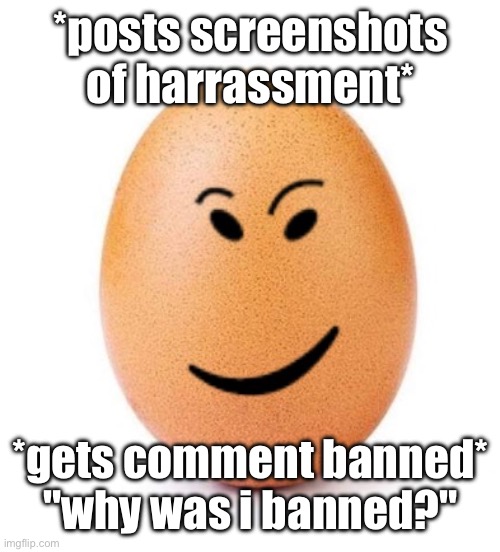 what did you expect to happen man | *posts screenshots of harrassment*; *gets comment banned*

"why was i banned?" | image tagged in chegg it | made w/ Imgflip meme maker