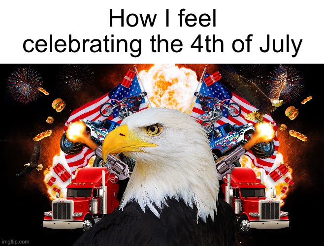 AMERICA | How I feel celebrating the 4th of July | image tagged in murica | made w/ Imgflip meme maker