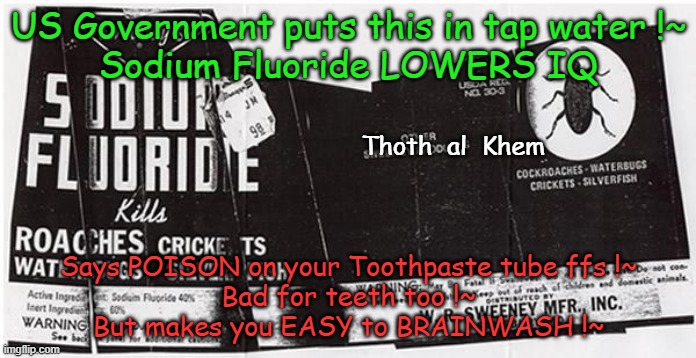 YOUR TAP WATER IS POISON | US Government puts this in tap water !~
Sodium Fluoride LOWERS IQ; Thoth  al  Khem; Says POISON on your Toothpaste tube ffs !~
Bad for teeth too !~
But makes you EASY to BRAINWASH !~ | image tagged in fluoride roach poison,fluoride lowers iq,fluoride gives you cancer,why folks are stupid now,sodium fluoride is poison | made w/ Imgflip meme maker