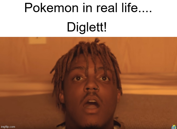 am I RIGHT tho??? | Pokemon in real life.... Diglett! | image tagged in shocked juice wrld,pokemon,diglett,juice wrld,lucid dreams,funny | made w/ Imgflip meme maker