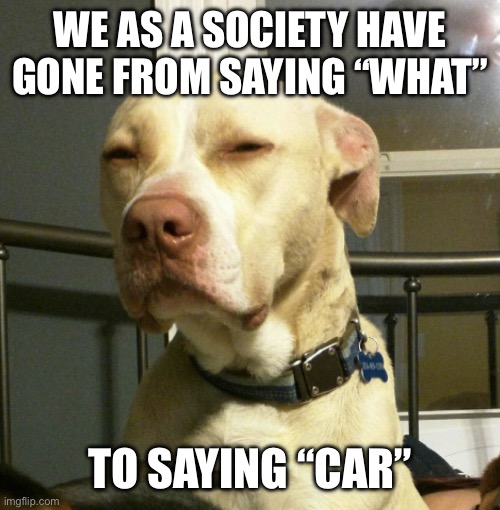 What is wrong with you | WE AS A SOCIETY HAVE GONE FROM SAYING “WHAT”; TO SAYING “CAR” | image tagged in what is wrong with you | made w/ Imgflip meme maker