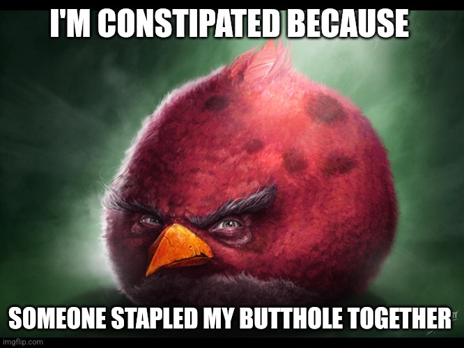 Realistic Angry Bird (big red) | I'M CONSTIPATED BECAUSE; SOMEONE STAPLED MY BUTTHOLE TOGETHER | image tagged in realistic angry bird big red | made w/ Imgflip meme maker