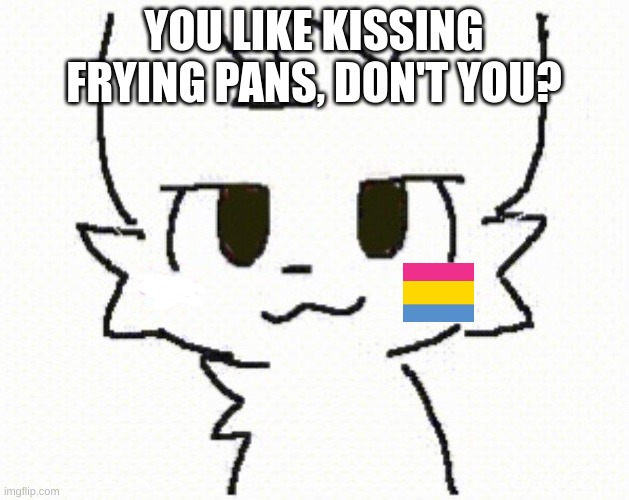 you like kissing boys | YOU LIKE KISSING FRYING PANS, DON'T YOU? | image tagged in you like kissing boys | made w/ Imgflip meme maker