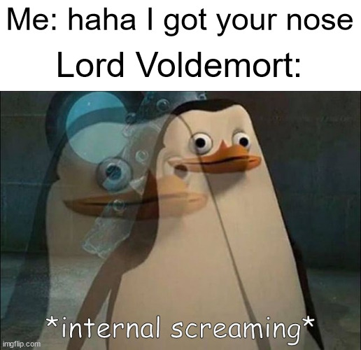well technically.... | Me: haha I got your nose; Lord Voldemort: | image tagged in private internal screaming,harry potter,lord voldemort,wait a minute,funny,nose | made w/ Imgflip meme maker