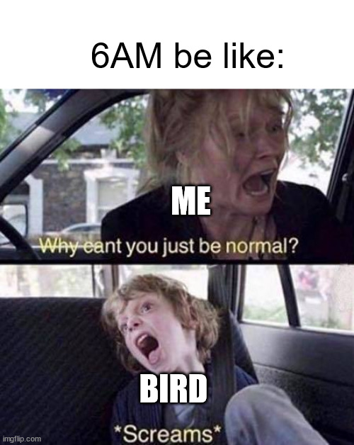 5 am lore | 6AM be like:; ME; BIRD | image tagged in why can't you just be normal,5am,birds,angry birds,5am lore,so true | made w/ Imgflip meme maker