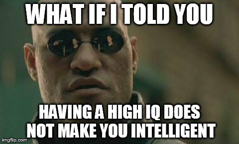 Matrix Morpheus Meme | WHAT IF I TOLD YOU HAVING A HIGH IQ DOES NOT MAKE YOU INTELLIGENT | image tagged in memes,matrix morpheus | made w/ Imgflip meme maker