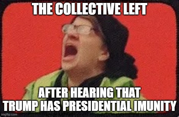 Oh...you almost got him. Gotta be quicker than that. | THE COLLECTIVE LEFT; AFTER HEARING THAT TRUMP HAS PRESIDENTIAL IMUNITY | image tagged in screaming leftist | made w/ Imgflip meme maker