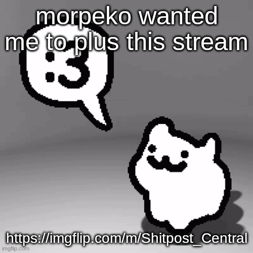 :3 cat | morpeko wanted me to plus this stream; https://imgflip.com/m/Shitpost_Central | image tagged in 3 cat | made w/ Imgflip meme maker