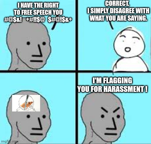 Valid argument | I HAVE THE RIGHT TO FREE SPEECH YOU #@$&!    +#!!$@   $#@!$&+ CORRECT.  
I SIMPLY DISAGREE WITH WHAT YOU ARE SAYING. I'M FLAGGING YOU FOR HA | image tagged in valid argument | made w/ Imgflip meme maker