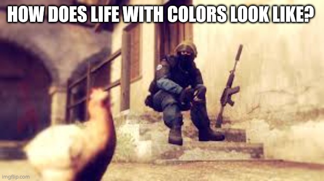 Life was drained out of colors | HOW DOES LIFE WITH COLORS LOOK LIKE? | image tagged in cs go tired soldier,life sucks | made w/ Imgflip meme maker