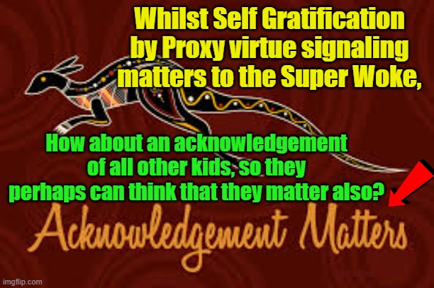 Why not make all kids think they they matter also? | Whilst Self Gratification by Proxy virtue signaling matters to the Super Woke, How about an acknowledgement of all other kids, so they perhaps can think that they matter also? Yarra Man | image tagged in apartheid,woke,self gratification by proxy,virtue signaling,aboriginal,australia | made w/ Imgflip meme maker