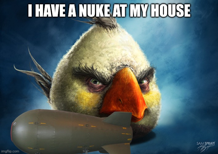 Realistic Angry Bird (Mathilda) | I HAVE A NUKE AT MY HOUSE | image tagged in realistic angry bird mathilda | made w/ Imgflip meme maker