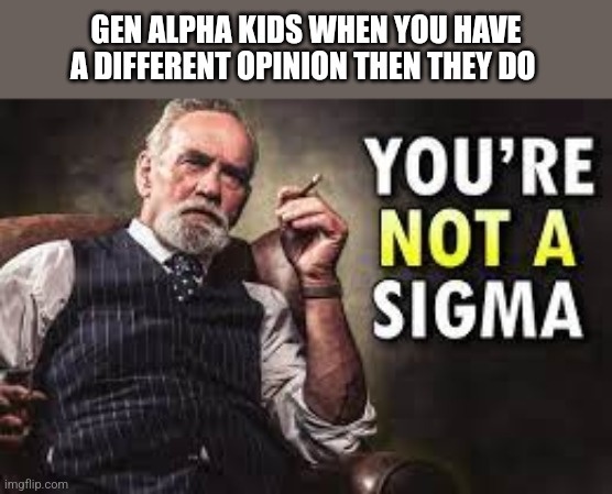 Sorry you're not a sigma | GEN ALPHA KIDS WHEN YOU HAVE A DIFFERENT OPINION THEN THEY DO | image tagged in sorry you're not a sigma | made w/ Imgflip meme maker