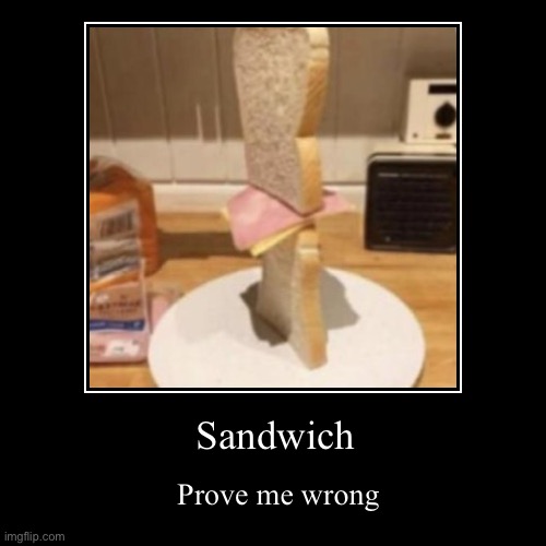 Sandwich | Prove me wrong | image tagged in funny,demotivationals | made w/ Imgflip demotivational maker