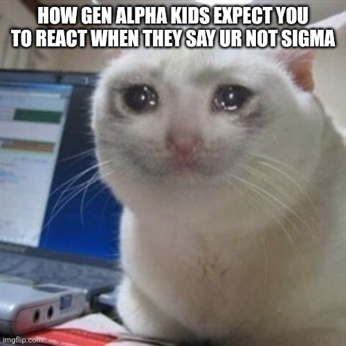 Crying cat | HOW GEN ALPHA KIDS EXPECT YOU TO REACT WHEN THEY SAY UR NOT SIGMA | image tagged in crying cat | made w/ Imgflip meme maker