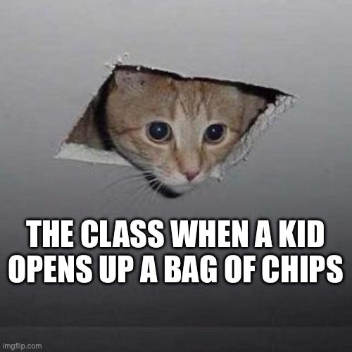 CHIPS?? | THE CLASS WHEN A KID OPENS UP A BAG OF CHIPS | image tagged in memes,ceiling cat | made w/ Imgflip meme maker