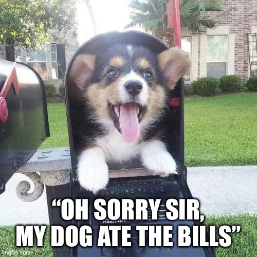 ? | “OH SORRY SIR, MY DOG ATE THE BILLS” | image tagged in cute doggo in mailbox | made w/ Imgflip meme maker