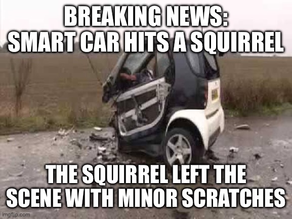 Smart Cars | BREAKING NEWS: SMART CAR HITS A SQUIRREL; THE SQUIRREL LEFT THE SCENE WITH MINOR SCRATCHES | image tagged in smart car crash | made w/ Imgflip meme maker