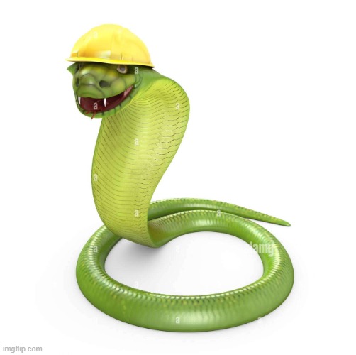 Safety Snake | image tagged in safety snake | made w/ Imgflip meme maker