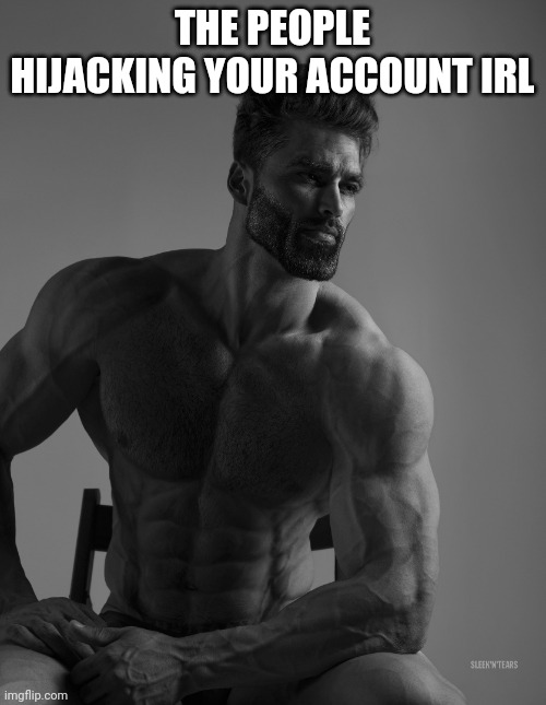 Giga Chad | THE PEOPLE HIJACKING YOUR ACCOUNT IRL | image tagged in giga chad | made w/ Imgflip meme maker