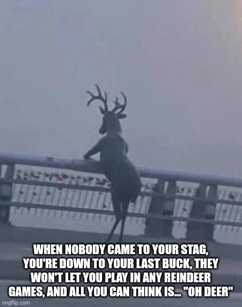 Oh deer | WHEN NOBODY CAME TO YOUR STAG, YOU'RE DOWN TO YOUR LAST BUCK, THEY WON'T LET YOU PLAY IN ANY REINDEER GAMES, AND ALL YOU CAN THINK IS... "OH DEER" | image tagged in oh deer | made w/ Imgflip meme maker