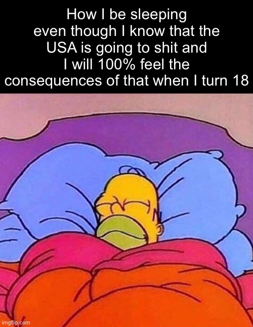 . | How I be sleeping even though I know that the USA is going to shit and I will 100% feel the consequences of that when I turn 18 | image tagged in homer simpson sleeping peacefully | made w/ Imgflip meme maker