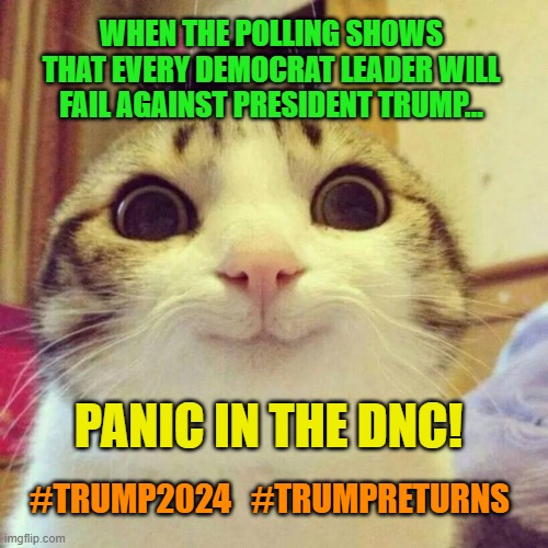 Smiling Cat | WHEN THE POLLING SHOWS THAT EVERY DEMOCRAT LEADER WILL FAIL AGAINST PRESIDENT TRUMP... PANIC IN THE DNC! #TRUMP2024   #TRUMPRETURNS | image tagged in memes,smiling cat | made w/ Imgflip meme maker