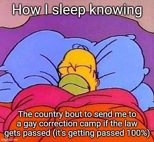 Homer Simpson sleeping peacefully | How I sleep knowing; The country bout to send me to a gay correction camp if the law gets passed (it's getting passed 100%) | image tagged in homer simpson sleeping peacefully | made w/ Imgflip meme maker