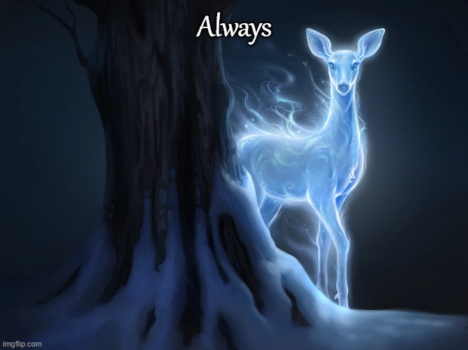 Doe patronus | Always | image tagged in doe patronus | made w/ Imgflip meme maker