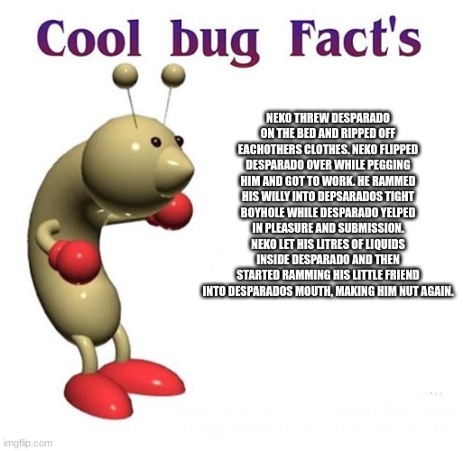 Cool Bug Facts | NEKO THREW DESPARADO ON THE BED AND RIPPED OFF EACHOTHERS CLOTHES. NEKO FLIPPED DESPARADO OVER WHILE PEGGING HIM AND GOT TO WORK. HE RAMMED HIS WILLY INTO DEPSARADOS TIGHT BOYHOLE WHILE DESPARADO YELPED IN PLEASURE AND SUBMISSION. NEKO LET HIS LITRES OF LIQUIDS INSIDE DESPARADO AND THEN STARTED RAMMING HIS LITTLE FRIEND INTO DESPARADOS MOUTH, MAKING HIM NUT AGAIN. | image tagged in cool bug facts | made w/ Imgflip meme maker