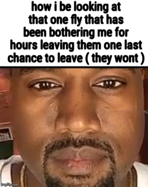 Kanye West Stare | how i be looking at that one fly that has been bothering me for hours leaving them one last chance to leave ( they wont ) | image tagged in kanye west stare | made w/ Imgflip meme maker