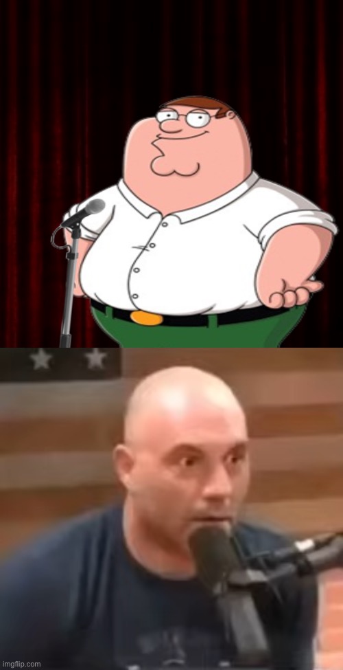 Peter, why is the horse here? | image tagged in joe rogan staring,peter griffin,joe rogan,podcast | made w/ Imgflip meme maker