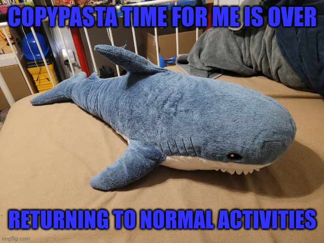 My fingers are tired | COPYPASTA TIME FOR ME IS OVER; RETURNING TO NORMAL ACTIVITIES | image tagged in my blahaj | made w/ Imgflip meme maker