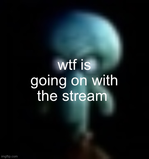 squamboard | wtf is going on with the stream | image tagged in squamboard | made w/ Imgflip meme maker