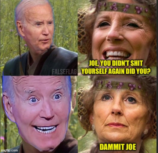 Oops, Jill... I did it again | image tagged in joe,oops i did it again | made w/ Imgflip meme maker