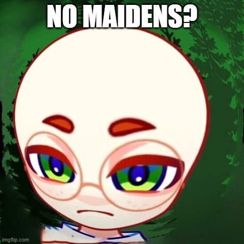 FernTheBalding | NO MAIDENS? | image tagged in fernthebalding,ferntheinkling,fern | made w/ Imgflip meme maker