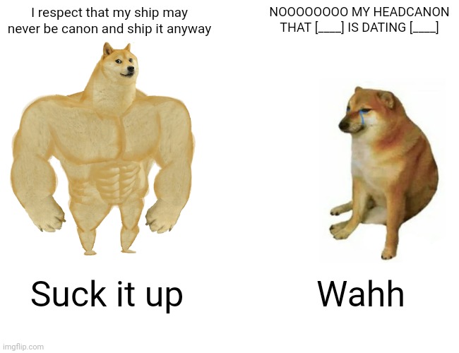 When these two types of people interact during a ship war | I respect that my ship may never be canon and ship it anyway; NOOOOOOOO MY HEADCANON THAT [____] IS DATING [____]; Suck it up; Wahh | image tagged in memes,buff doge vs cheems | made w/ Imgflip meme maker