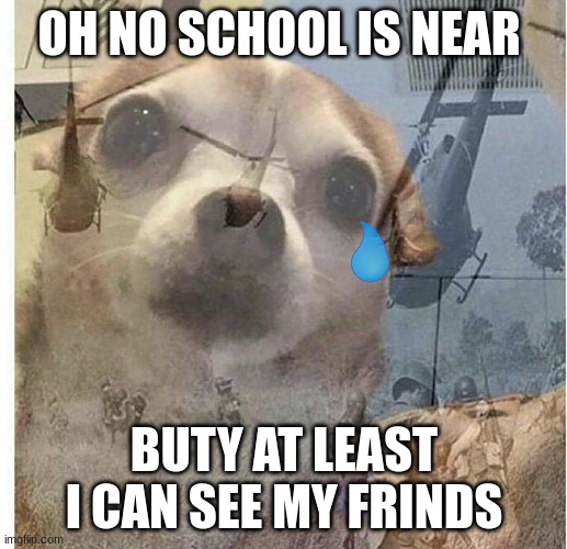 PTSD Chihuahua | OH NO SCHOOL IS NEAR BUTY AT LEAST I CAN SEE MY FRINDS | image tagged in ptsd chihuahua | made w/ Imgflip meme maker