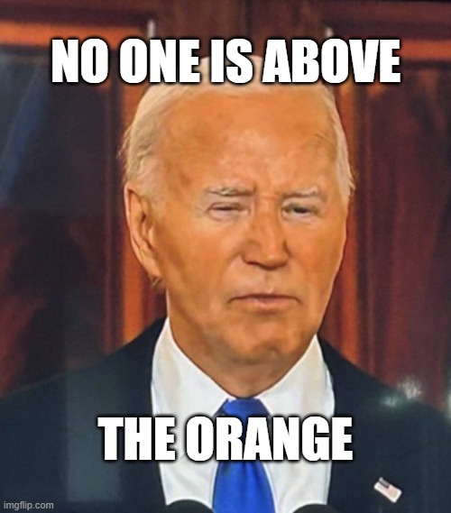 NO ONE IS ABOVE; THE ORANGE | made w/ Imgflip meme maker