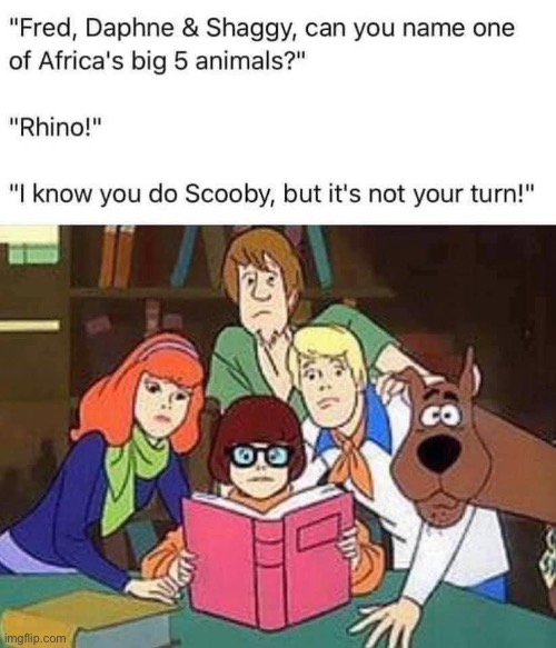 image tagged in scooby doo,mystery | made w/ Imgflip meme maker