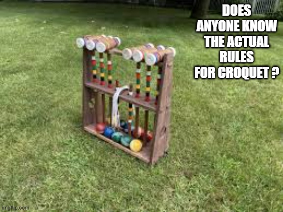 memes by Brad - Does anyone know the real rules for croquet? | DOES ANYONE KNOW THE ACTUAL RULES FOR CROQUET ? | image tagged in funny,sports,funny meme,humor,competition,balls | made w/ Imgflip meme maker