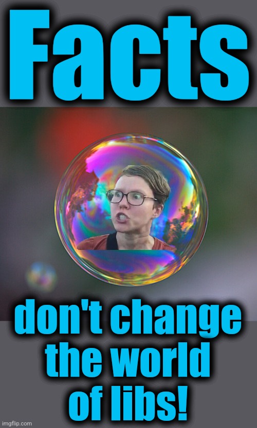 Facts don't change
the world
of libs! | made w/ Imgflip meme maker