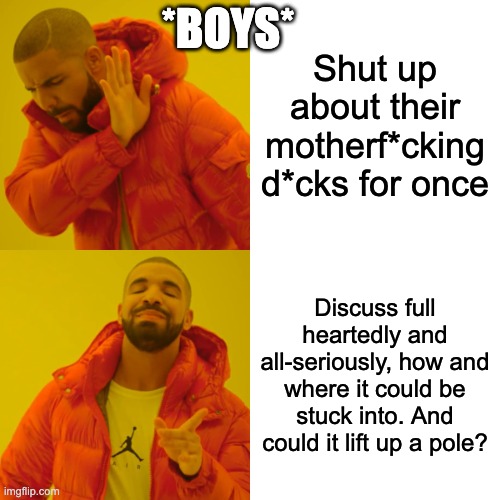 Round 1, C.Z | *BOYS*; Shut up about their motherf*cking d*cks for once; Discuss full heartedly and all-seriously, how and where it could be stuck into. And could it lift up a pole? | image tagged in memes,drake hotline bling | made w/ Imgflip meme maker