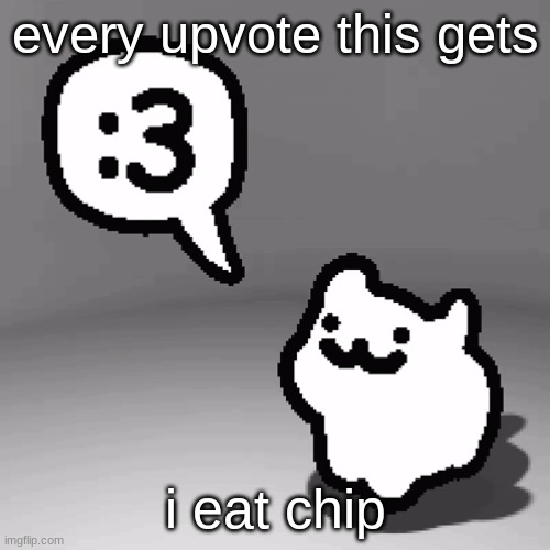 :3 cat | every upvote this gets; i eat chip | image tagged in 3 cat | made w/ Imgflip meme maker